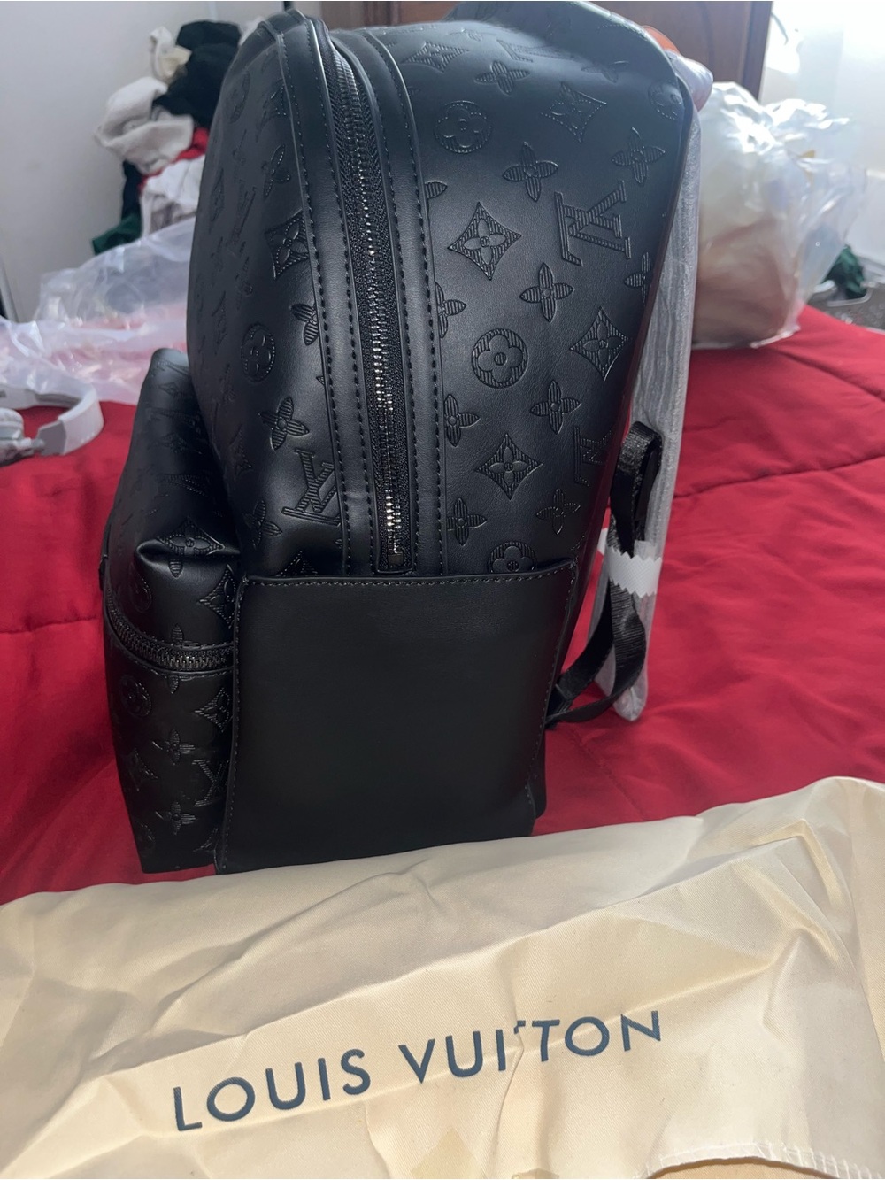 LV Backpack - Picture 2 of 7